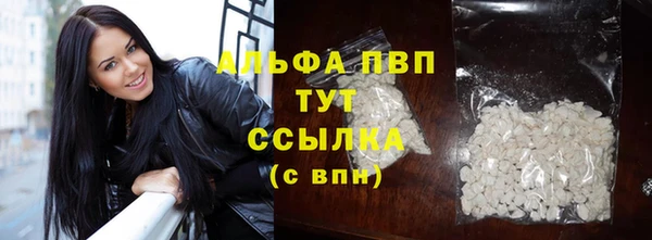 гидра Богданович