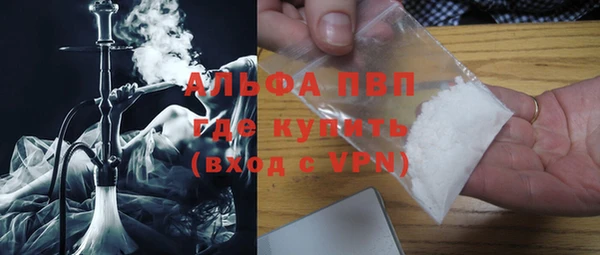 гидра Богданович