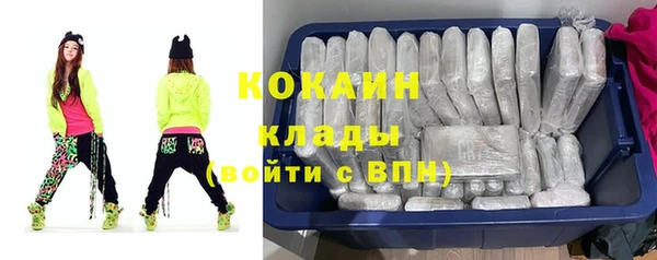 гидра Богданович