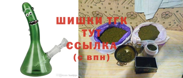 гидра Богданович