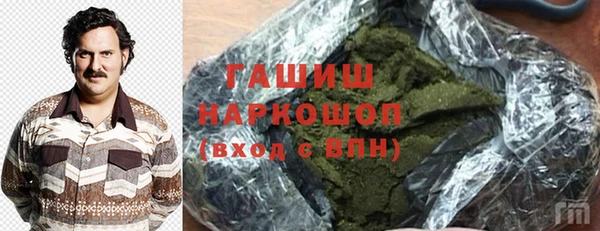 гидра Богданович