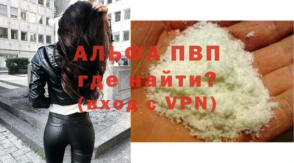 гидра Богданович