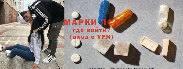 гидра Богданович