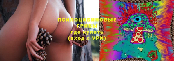 МДПВ Богородицк