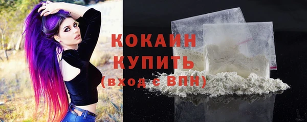 МДПВ Богородицк